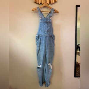 Wild Fable Light Blue Denim Overalls